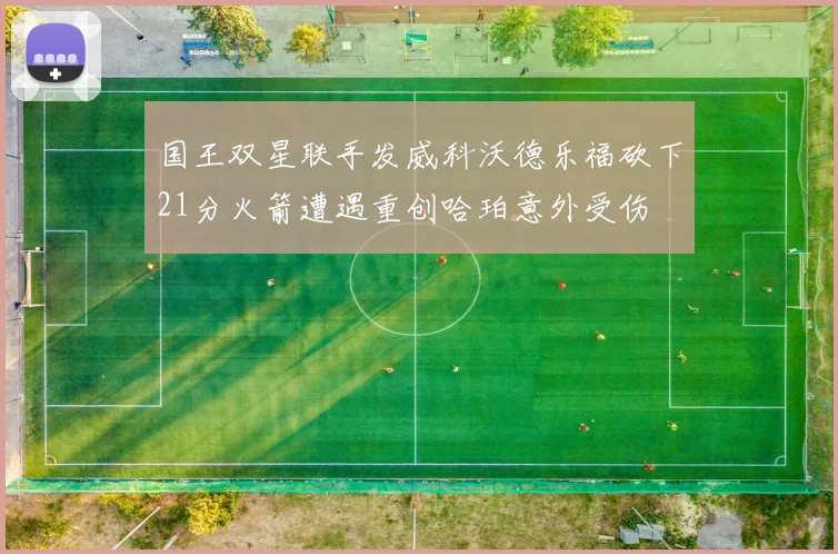 国王双星联手发威科沃德乐福砍下21分火箭遭遇重创哈珀意外受伤