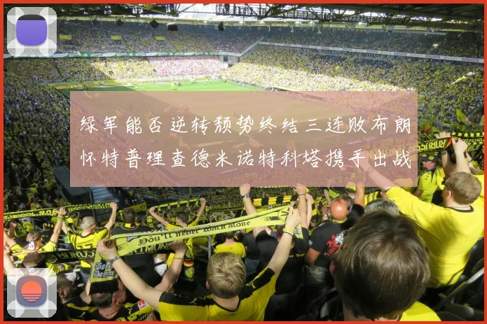 绿军能否逆转颓势终结三连败布朗怀特普理查德米诺特科塔携手出战鹈鹕